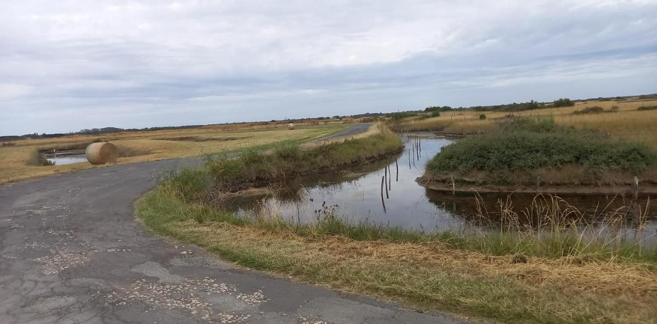 En Plein Coeur De L'Ile D'Oleron, Suite Parentale. Долю-д'Олерон Экстерьер фото
